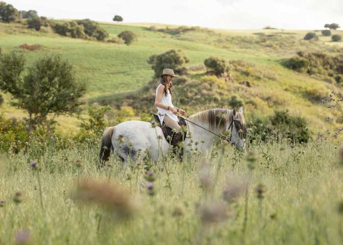 Horse riding tour in Tbilisi