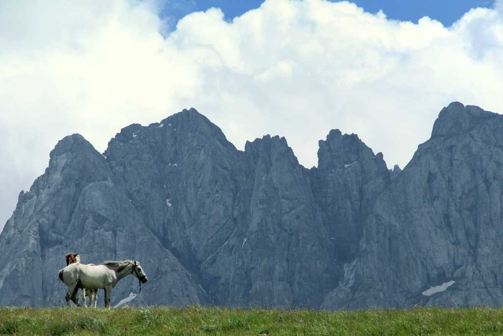 Horse riding tours in Kazbegi Juta Caucasus mountains