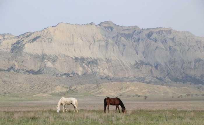 Horse tours in Vashlovani Nature Reserve, Georgia country
