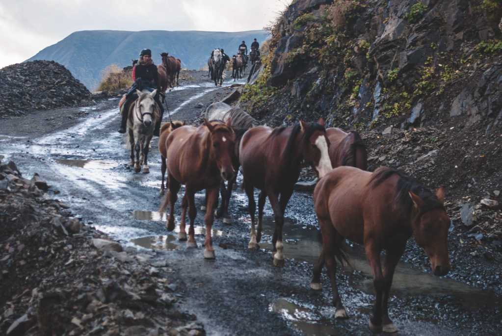 Horse riding tours in Vashlovani National Park