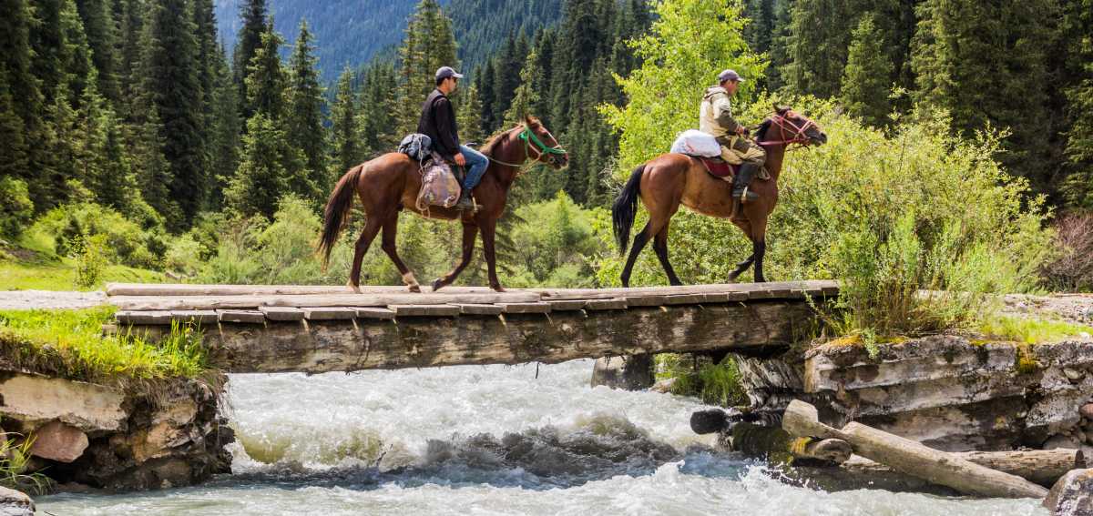 Horse tours in Georgia Mountains