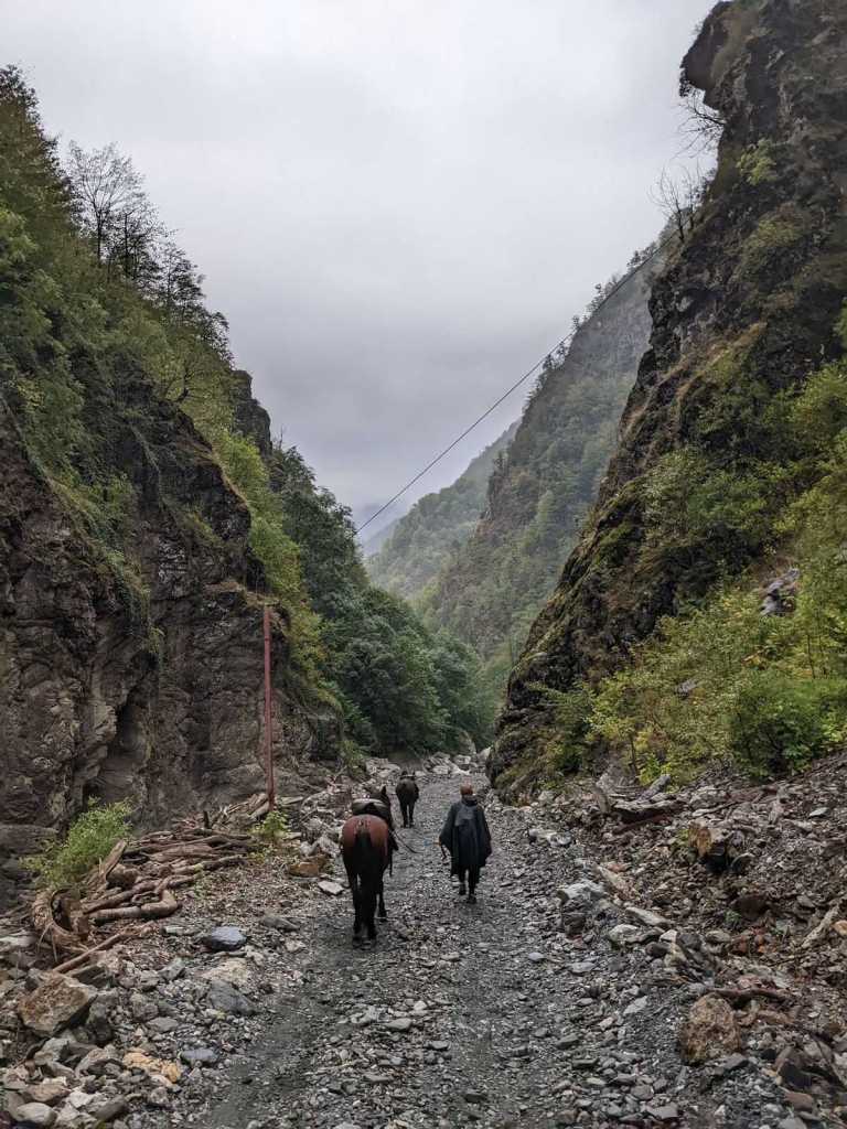 Horse tours in Pankisi, Mountains , Valley